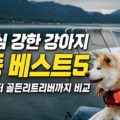 충성심 강한 강아지 견종 베스트5 골든리트리버 비교