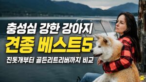 충성심 강한 강아지 견종 베스트5 골든리트리버 비교