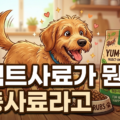 강아지 인섹트 사료 곤충사료 효능 알레르기 장점