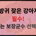 강아지 설사 방귀 잦으면 유산균 보장균수 선택 가이드