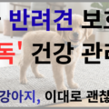 한국 반려견 보호자 필독 건강 관리법