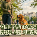 강아지 광견병 백신 예방접종 치료법 사망률