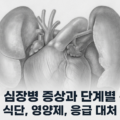 강아지 심장병 증상 단계별 관리 식단 영양제 응급대처