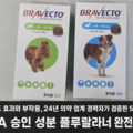 브라벡토 츄어블 &mdash; FDA 승인 성분 플루랄라너로 만든 강아지 외부기생충 약, 24년 의약 경력자가 검증한 5가지 사실