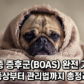 강아지 단두종 증후군 BOAS 증상 관리법 퍼그 불독