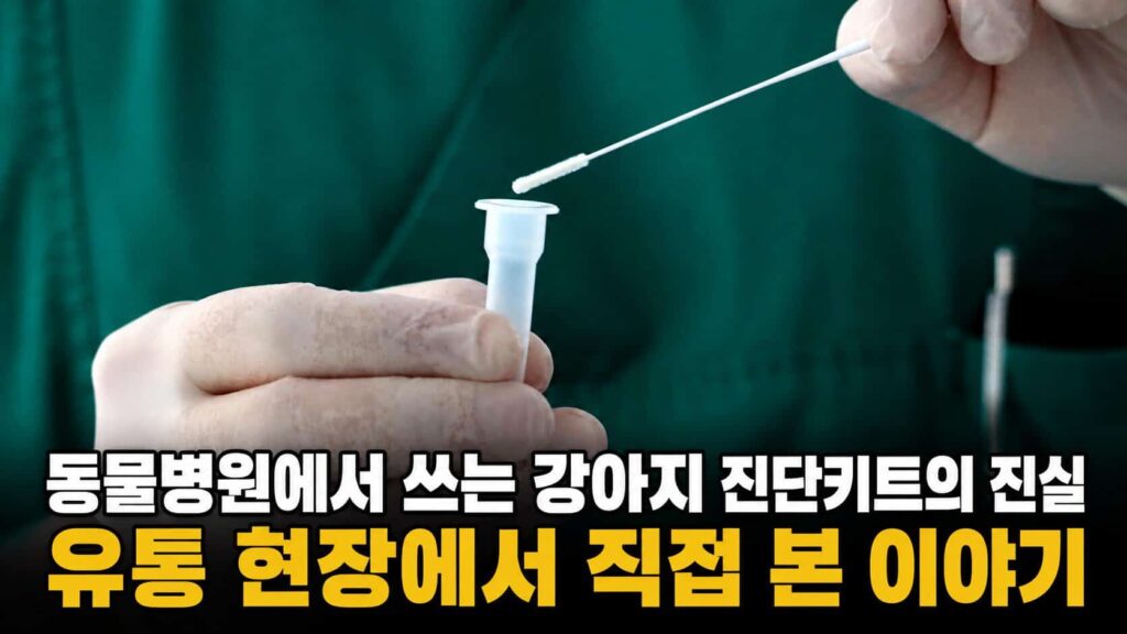 동물병원에서 수의사가 강아지 진단키트 검체를 채취하는 장면