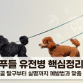푸들 유전병 핵심정리 슬개골 탈구 실명 예방법 맞춤 식단