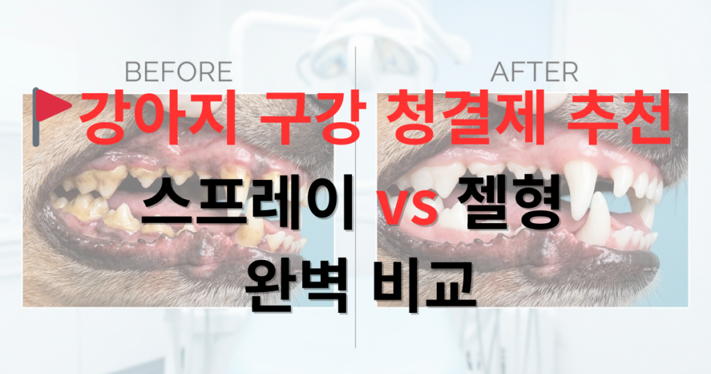 강아지 구강 청결제 스프레이 vs 젤형 완벽 비교 추천