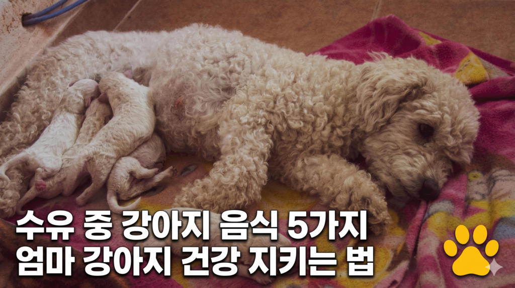 수유 중 강아지 음식 5가지 엄마 강아지 영양 관리