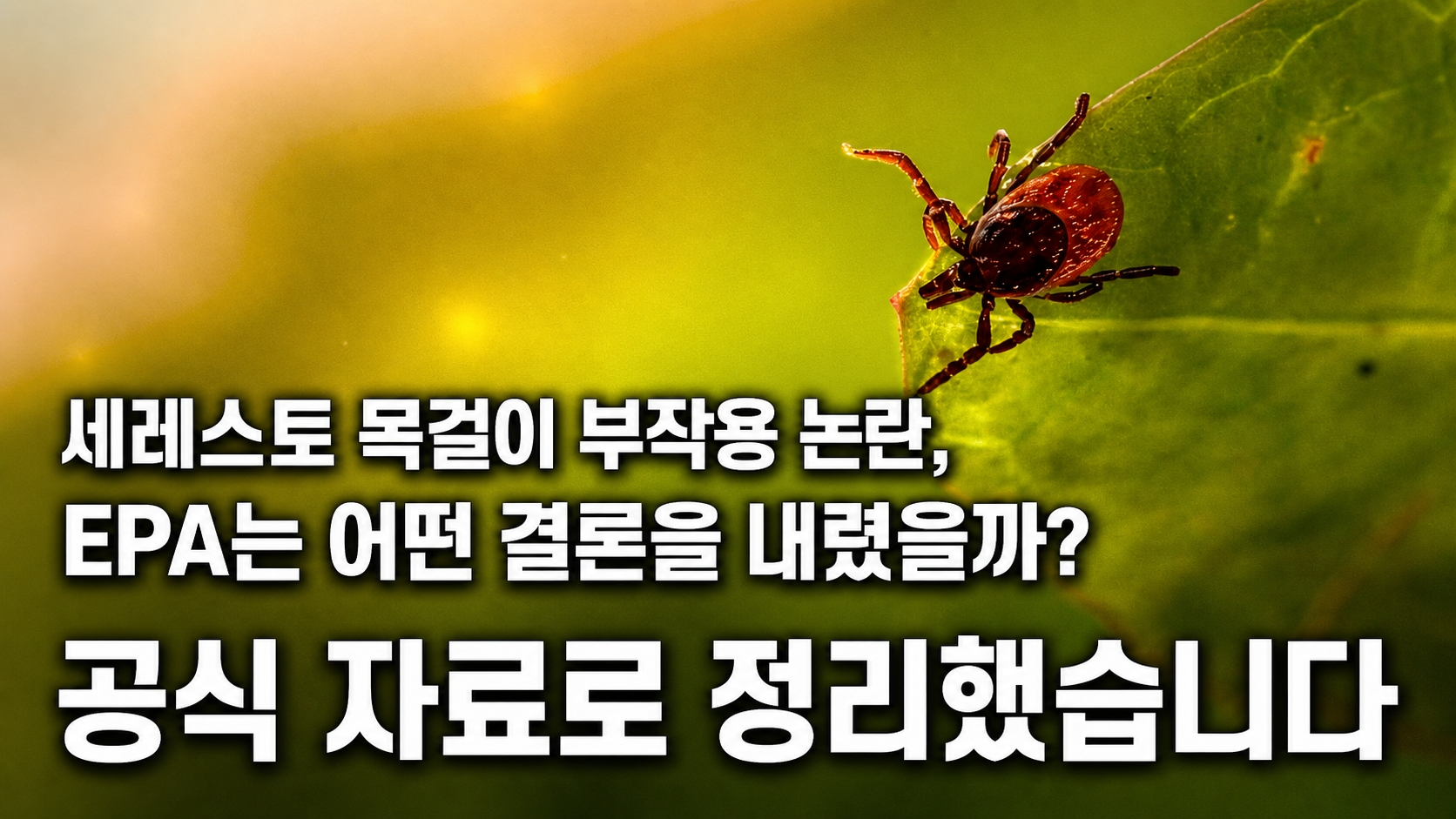세레스토 목걸이 부작용 논란, EPA는 어떤 결론을 내렸을까? — 공식 자료로 정리했습니다