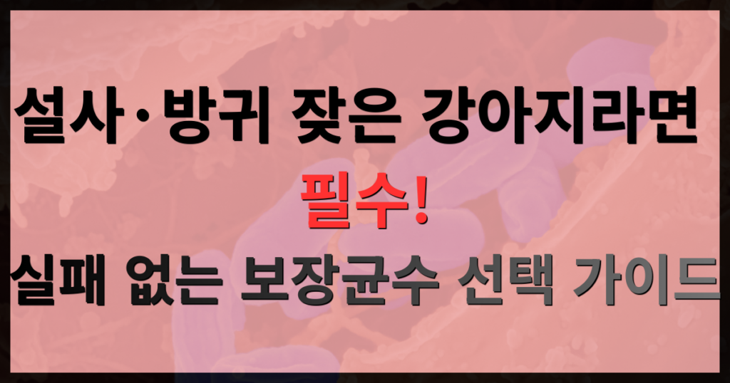 강아지 설사 방귀 잦으면 유산균 보장균수 선택 가이드