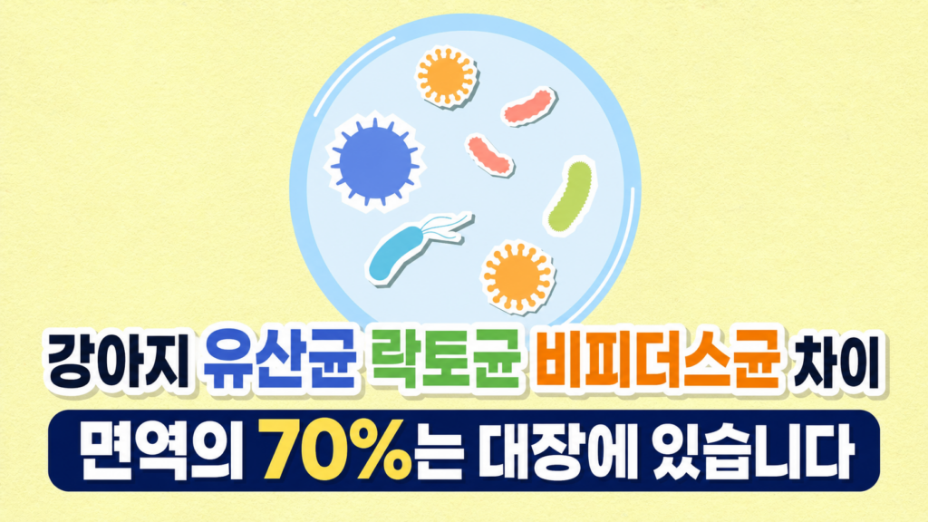 강아지 유산균 락토균 비피더스균 차이 면역