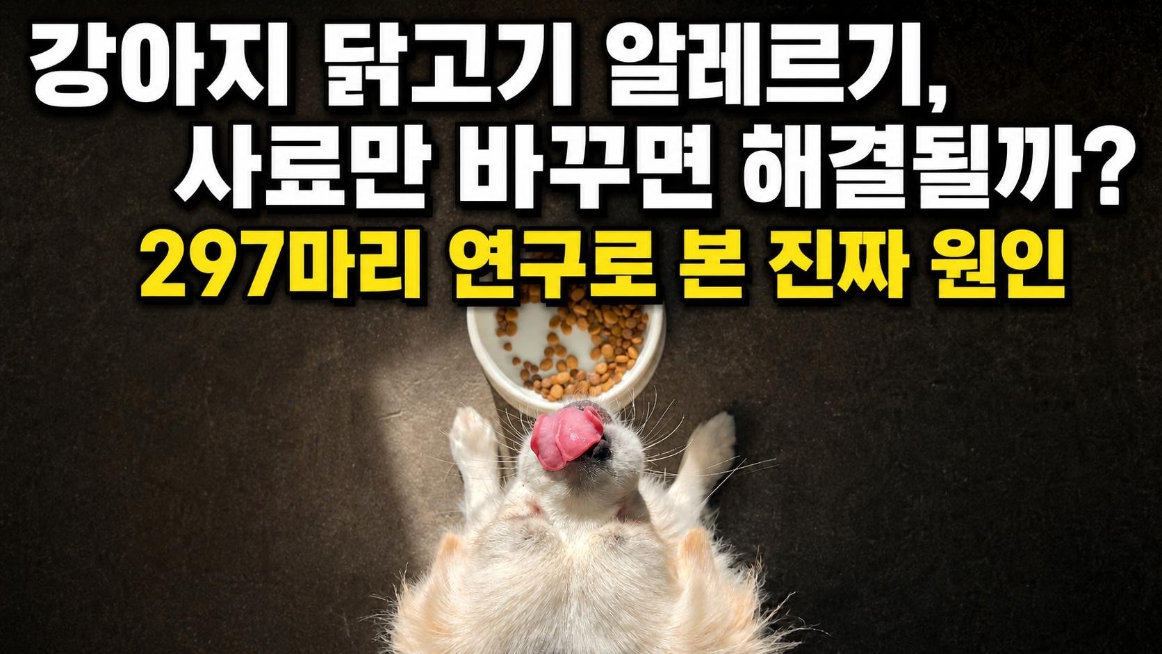 강아지 닭고기 알레르기, 사료만 바꾸면 해결될까?&nbsp;&mdash; 297마리 연구로 본 진짜 원인