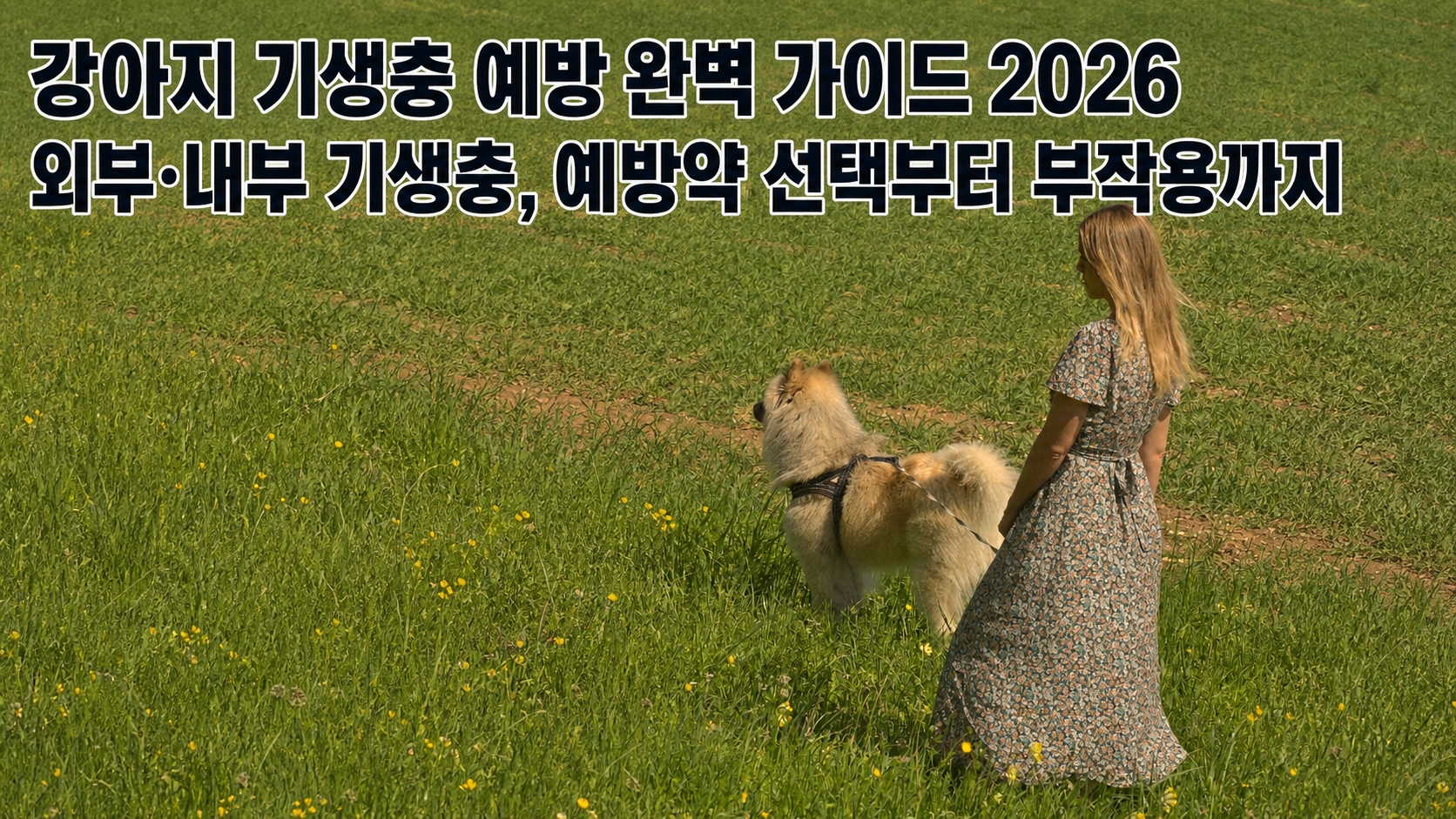강아지 기생충 예방 완벽 가이드 2026 &mdash; 외부&middot;내부 기생충, 예방약 선택부터 부작용까지