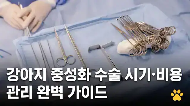 강아지 중성화 수술 시기 비용 관리 완벽 가이드