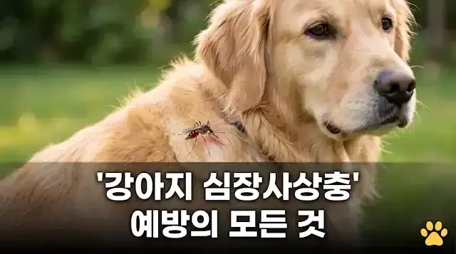 강아지 심장사상충 예방의 모든 것