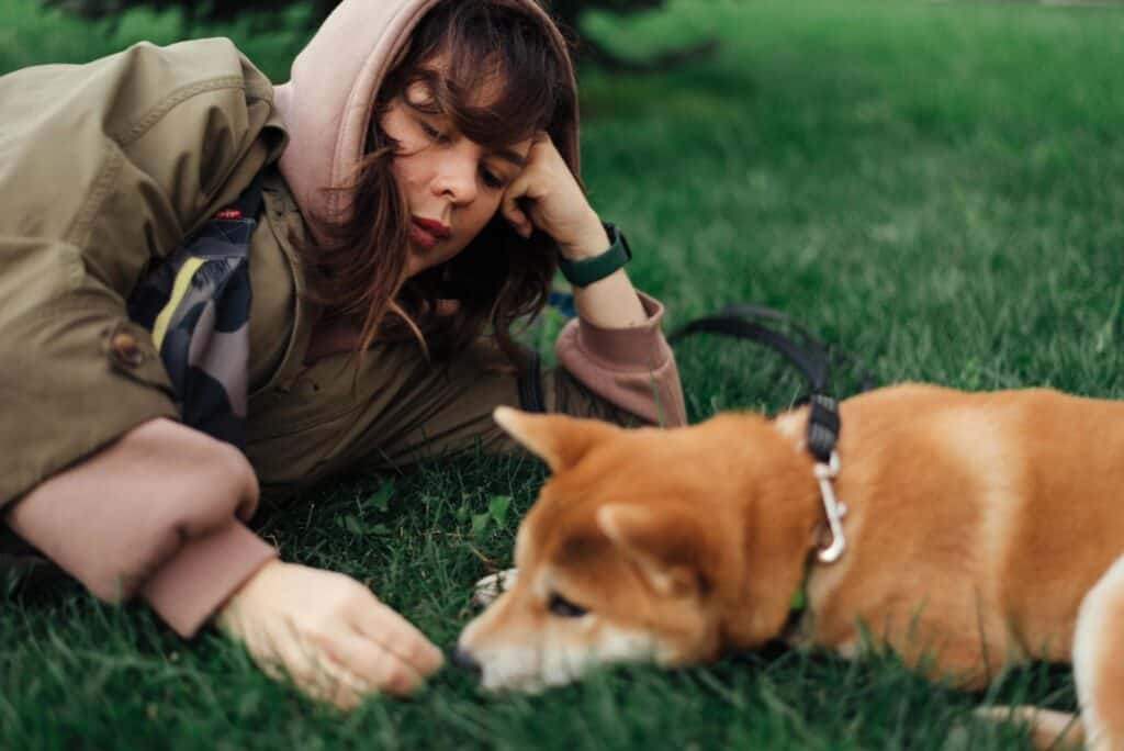 밥을 먹지 않고 식욕이 떨어진 강아지, 에디슨병 증상