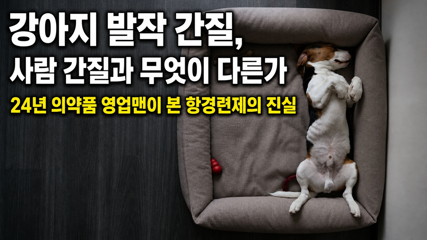 강아지 발작 간질, 사람 간질과 무엇이 다른가 — 24년 의약품 영업맨이 본 항경련제의 진실
