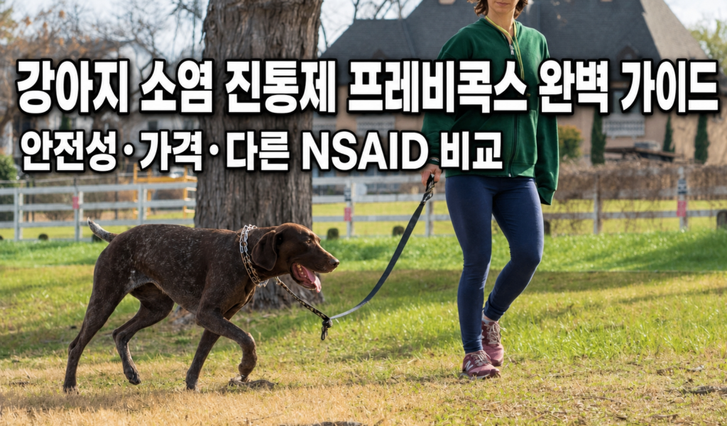 강아지 소염진통제 프레비콕스 완벽 가이드 - 안전성, 가격, 다른 NSAID 비교를 다룬 글의 대표 이미지