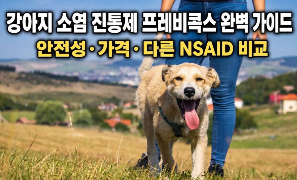 강아지 소염진통제 프레비콕스 완벽 가이드 - 안전성, 가격, 다른 NSAID 비교를 다룬 글의 대표 이미지