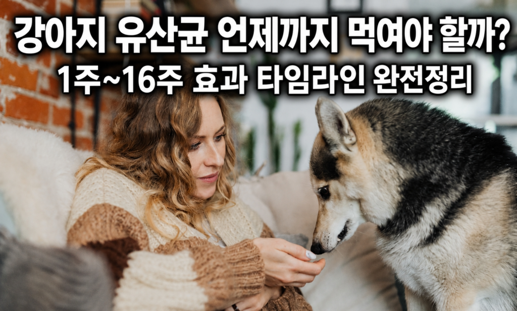 강아지 유산균 언제까지 먹여야 할까 1주부터 16주까지 효과 타임라인 완전정리 썸네일