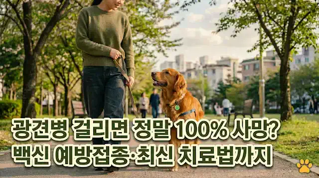 공원에서 보호자와 산책 중인 골든리트리버 - 광견병 예방접종과 최신 치료법 가이드