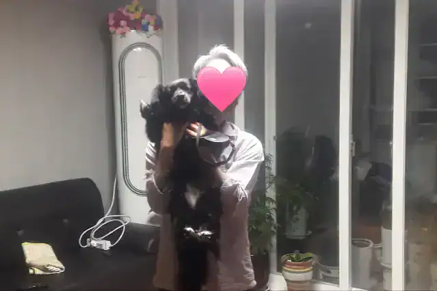 보호자가 검은 강아지를 안아 올려 얼굴을 맞대고 있는 모습