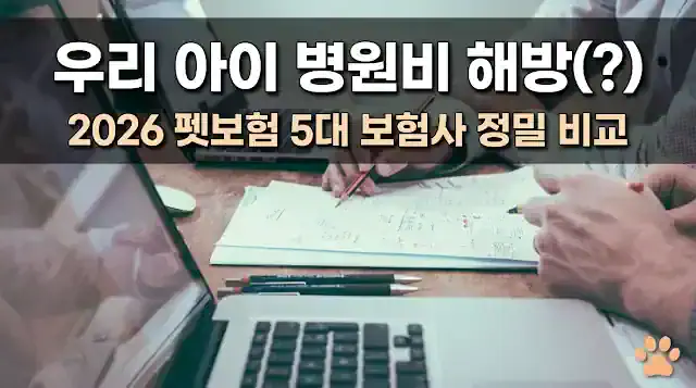 2026 펫보험 비교 추천
