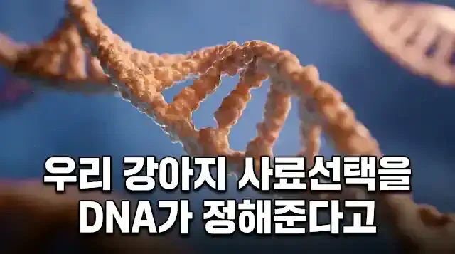 강아지 유전자 검사 비용 추천 맞춤 사료