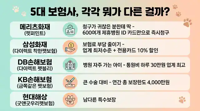 메리츠 삼성 DB KB 현대 5대 펫보험사별 특징을 비교 정리한 인포그래픽
